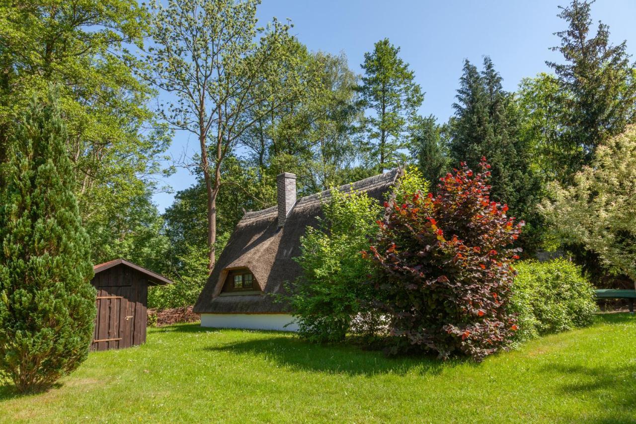 Ferienhaus Auf Der Kauperinsel Burg  Luaran gambar